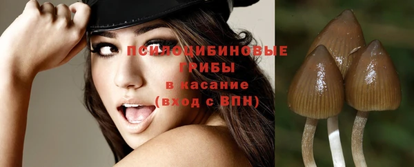mix Саяногорск