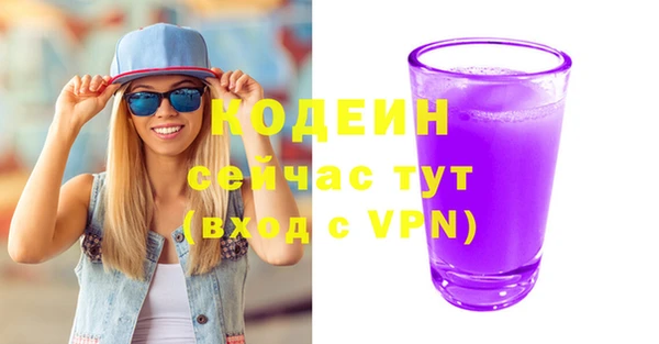 индика Балабаново
