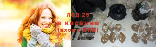 гашик Сатка