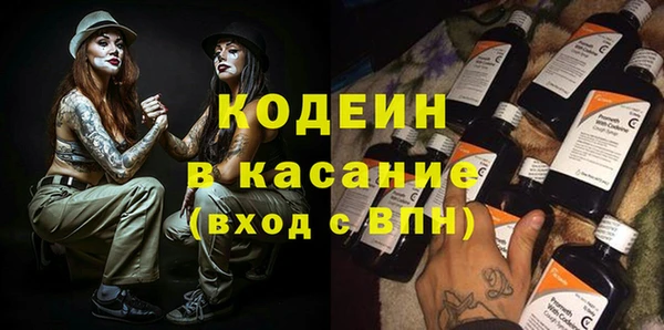 гашик Сатка