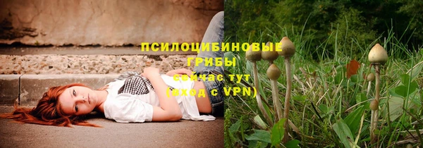 стафф Баксан