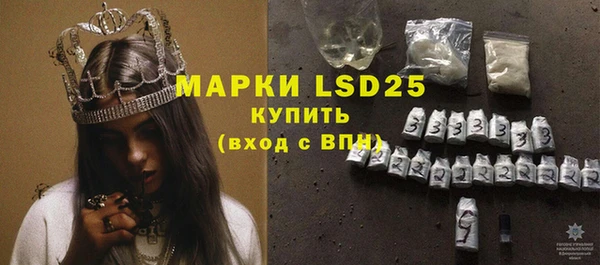 индика Балабаново