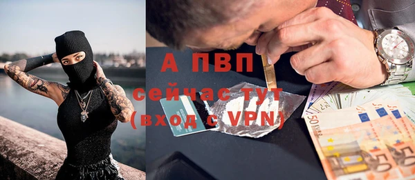 гашик Сатка