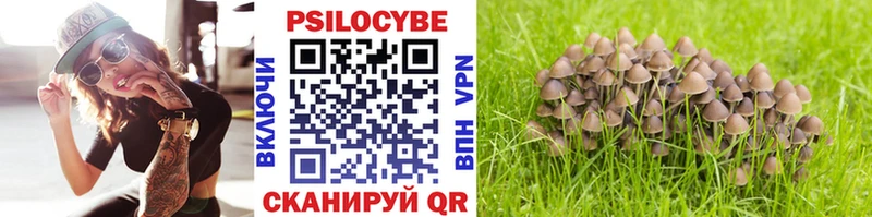 гидра ONION Кумертау Галлюциногенные грибы Psilocybe что такое наркотик